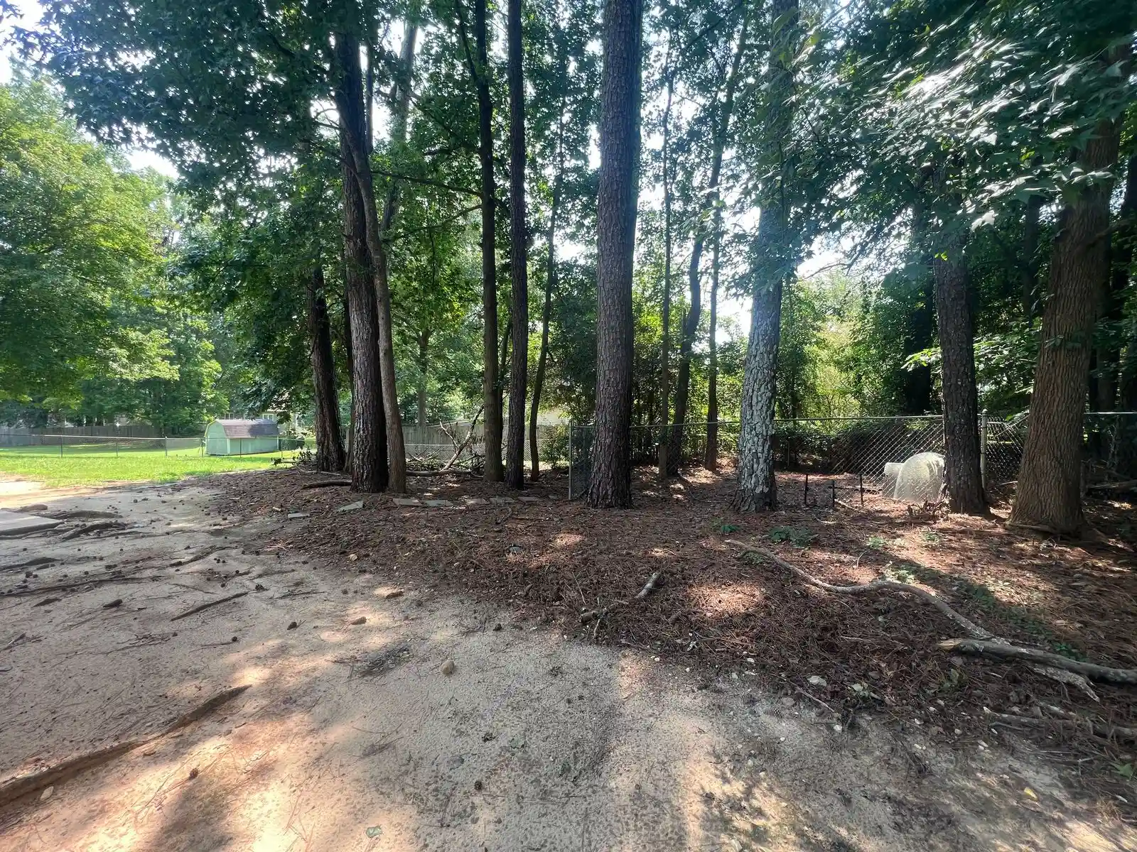 Photo Jul 30 2026, 12 42 53 PM — 905 Burning Bush Dr, Loganville, GA 30052