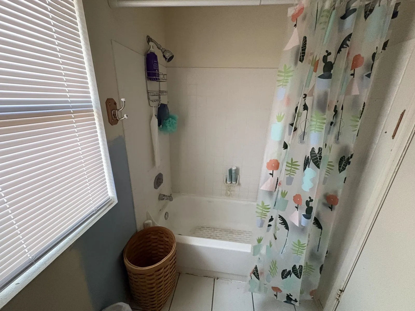 IMG_6934 — 7220 W Morrow Dr, Glendale, AZ 85308