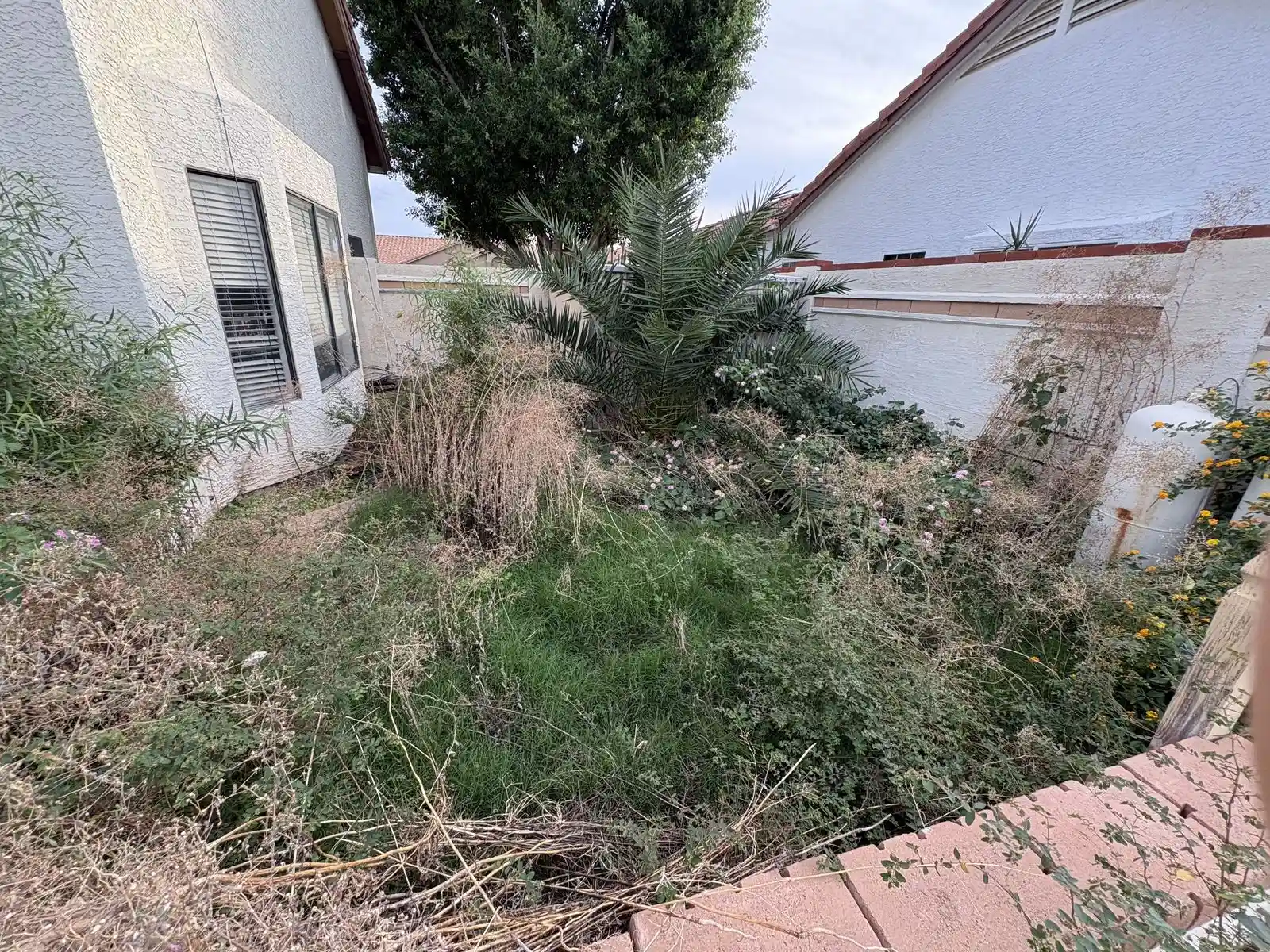 IMG_6946 — 7220 W Morrow Dr, Glendale, AZ 85308