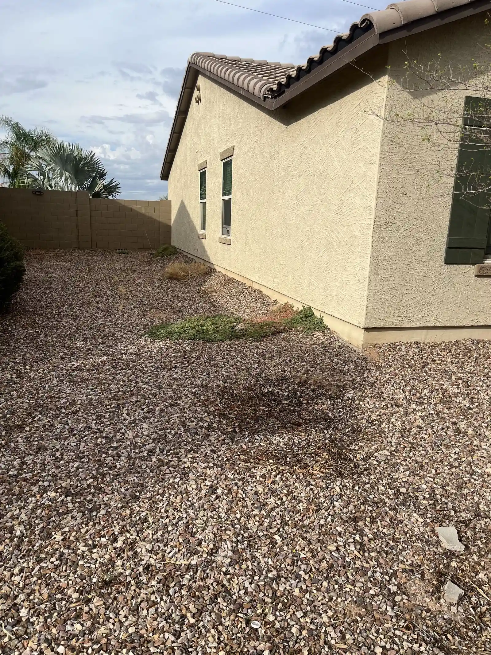 IMG_2599 — 20130 N Lauren Rd, Maricopa, AZ 85138