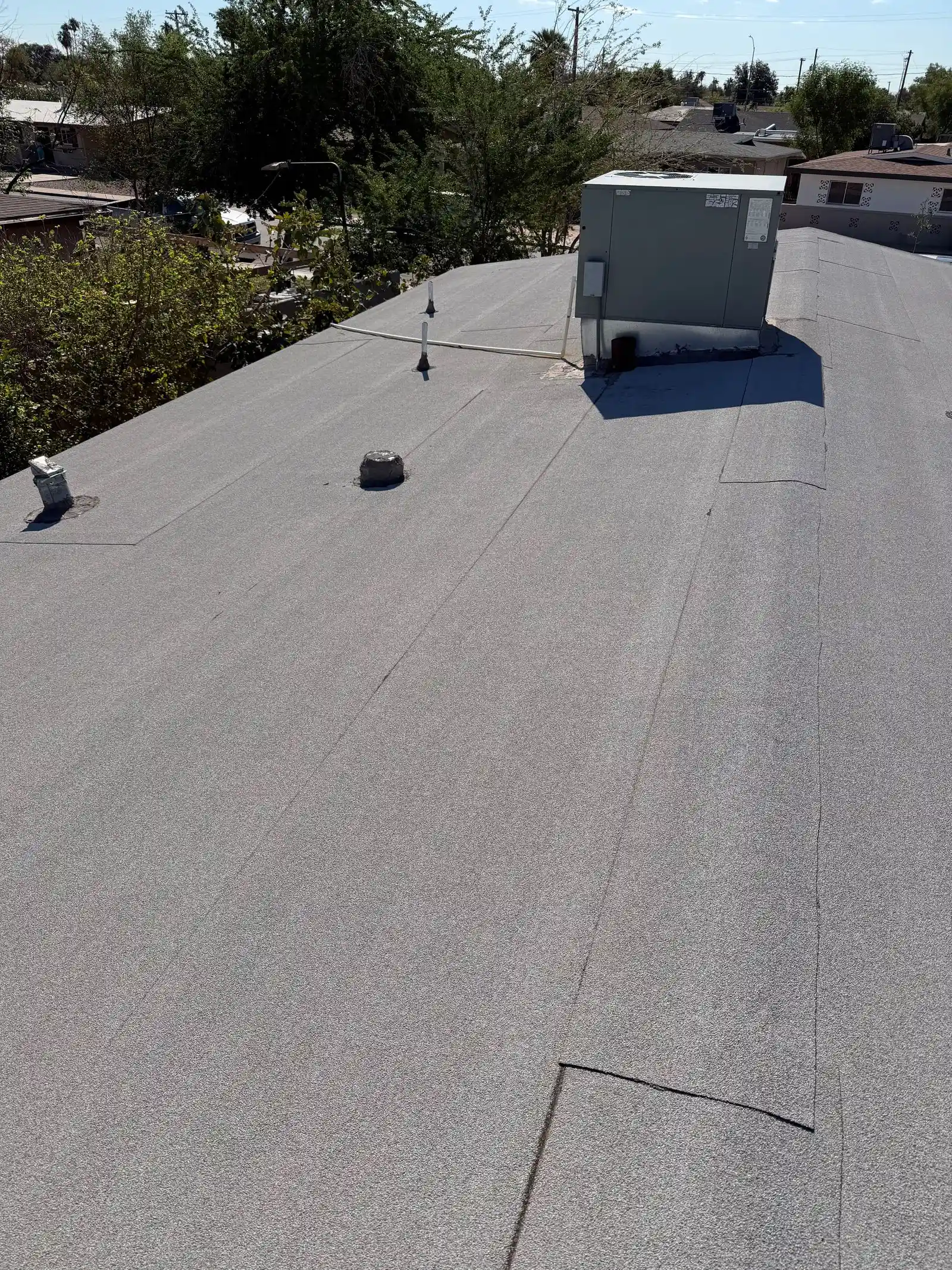 IMG_1818 — 701 S Mesa Dr, Mesa, AZ 85210