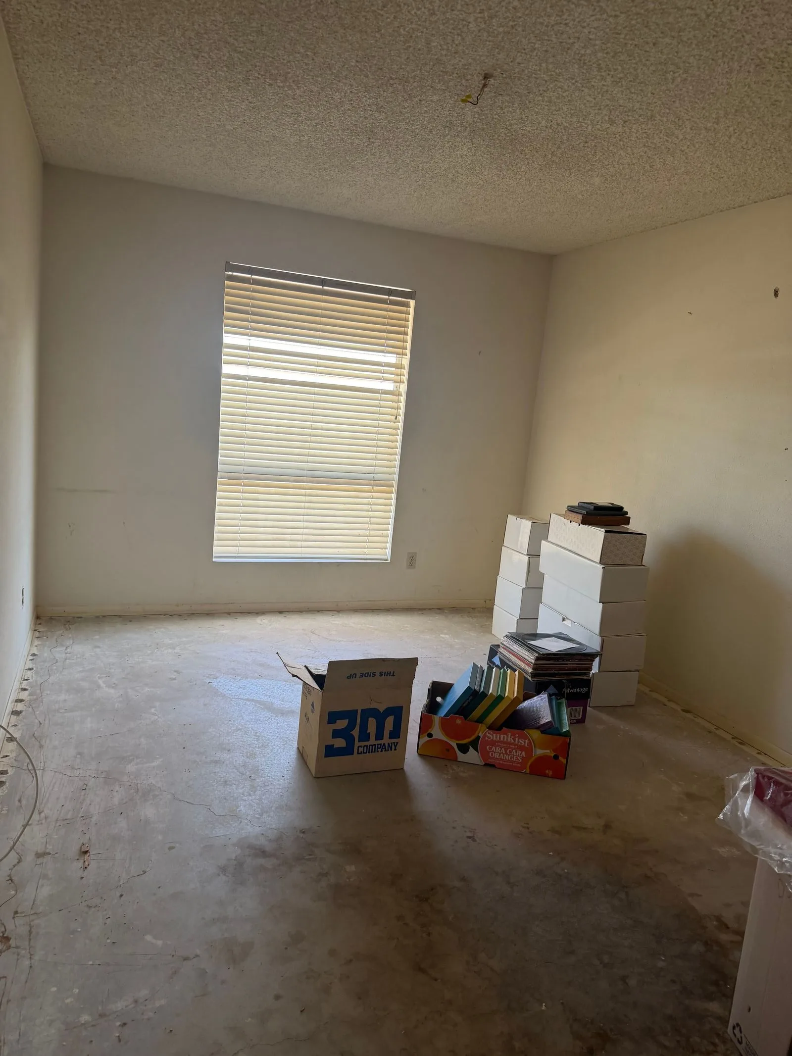 img_2188 — 15015 N 20th St, Phoenix, AZ 85022