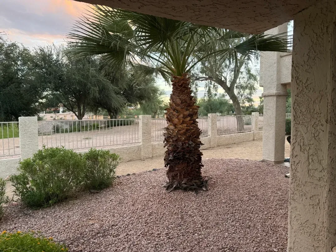 6422ec45-e0c1-4a50-ac2b-a3164c27e015-0-IMG_4310 — 10080 E Mountainview Lake Dr, Unit 112, Scottsdale, AZ 85258