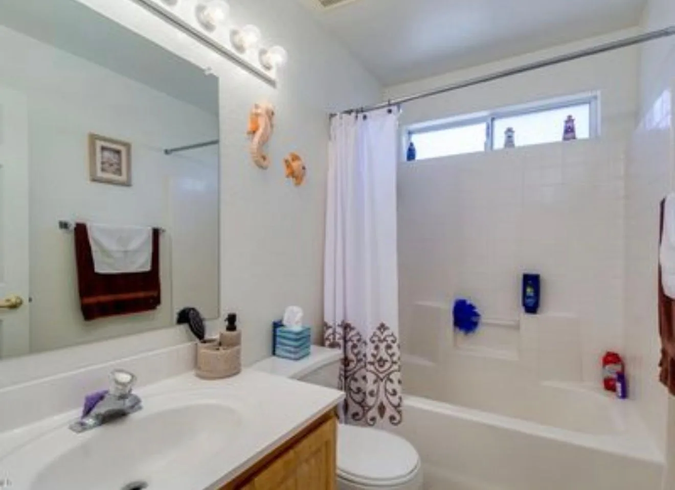 photo-08 — 484 S Picana Cir, Apache Junction, AZ 85120