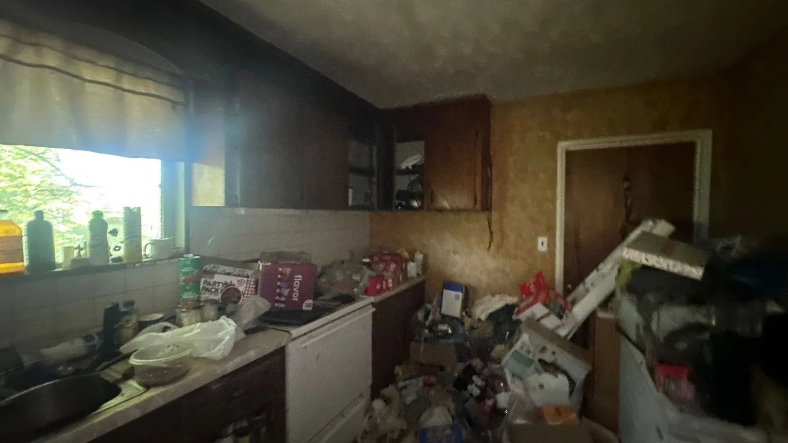 project_116624353_10132026_1415 — 6206 Virgil Ln, Knoxville, TN 37920