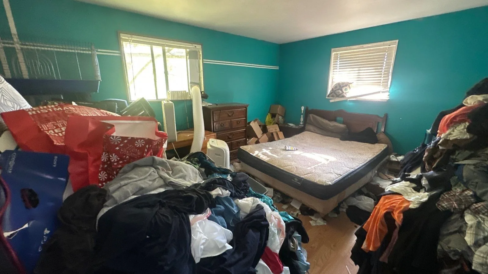 project_116624353_10132026_1416 — 6206 Virgil Ln, Knoxville, TN 37920