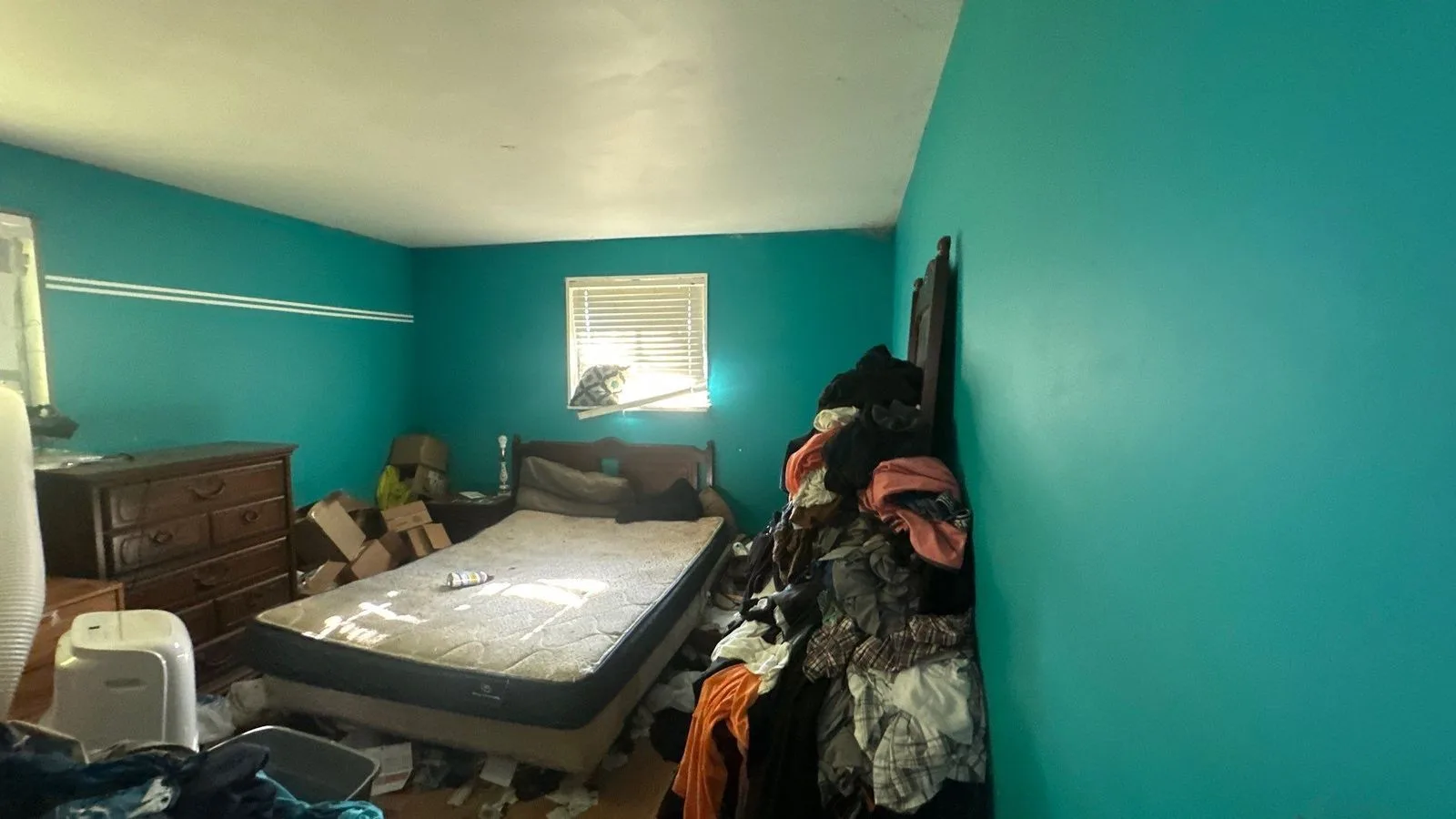 project_116624353_10132026_1416 — 6206 Virgil Ln, Knoxville, TN 37920