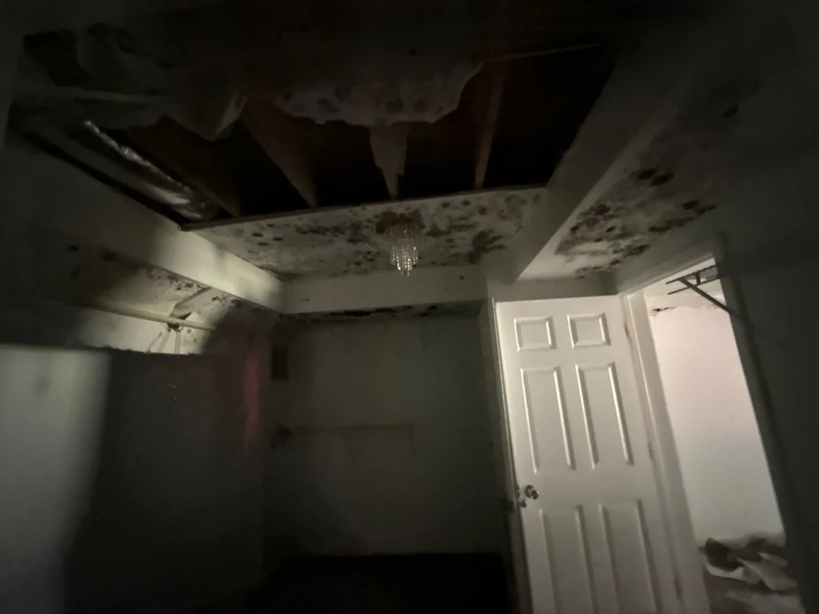 project_114320852_09112026_1602 — 1935 Saint Gregorys Ct, Knoxville, TN 37931