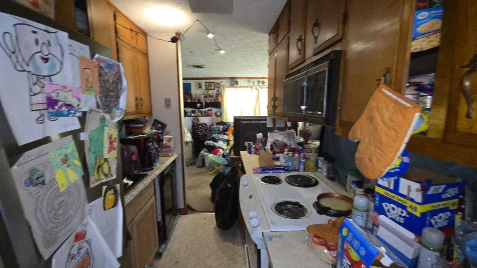 project_113754418_09032026_1352 — 101 Goldenview Ln, Oak Ridge, TN 37830