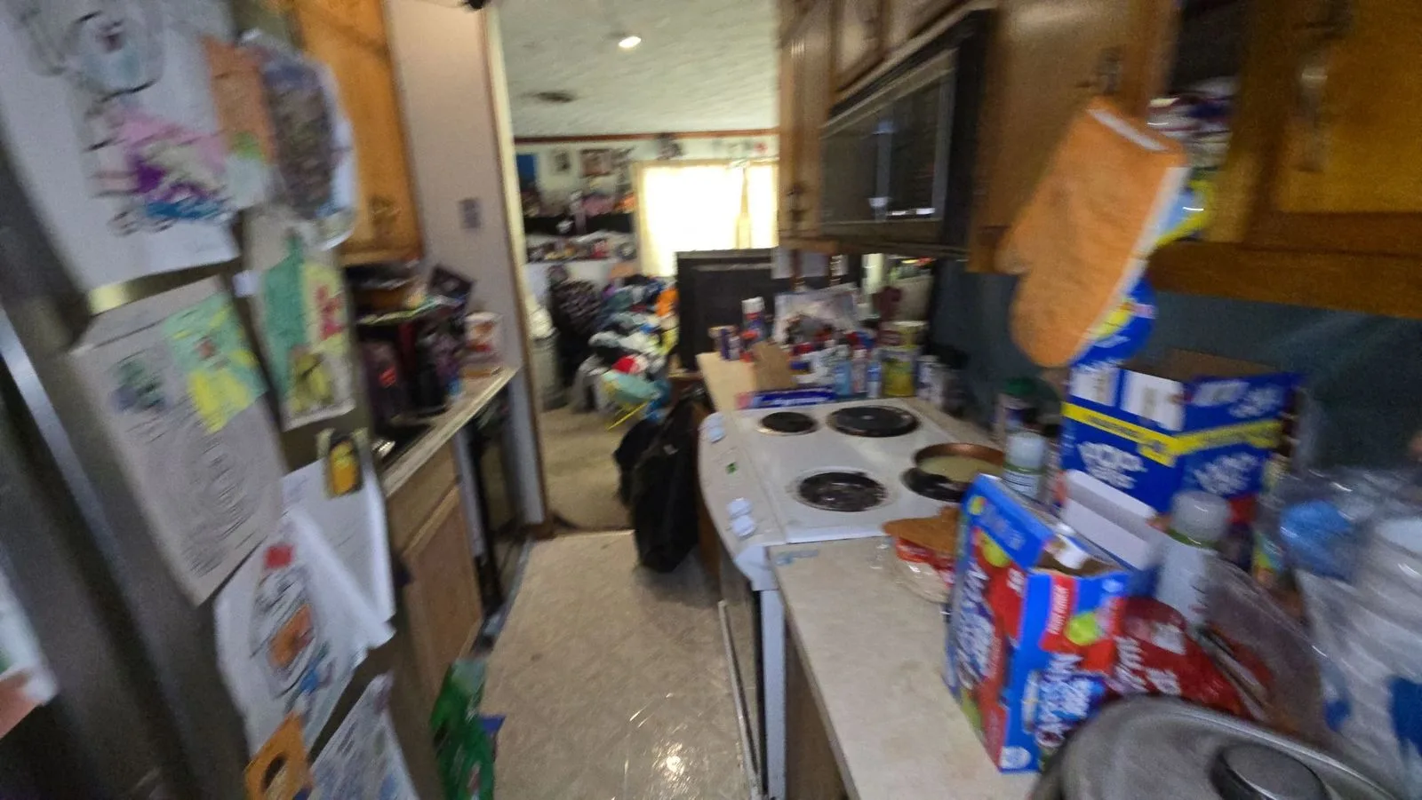 project_113754418_09032026_1352 — 101 Goldenview Ln, Oak Ridge, TN 37830