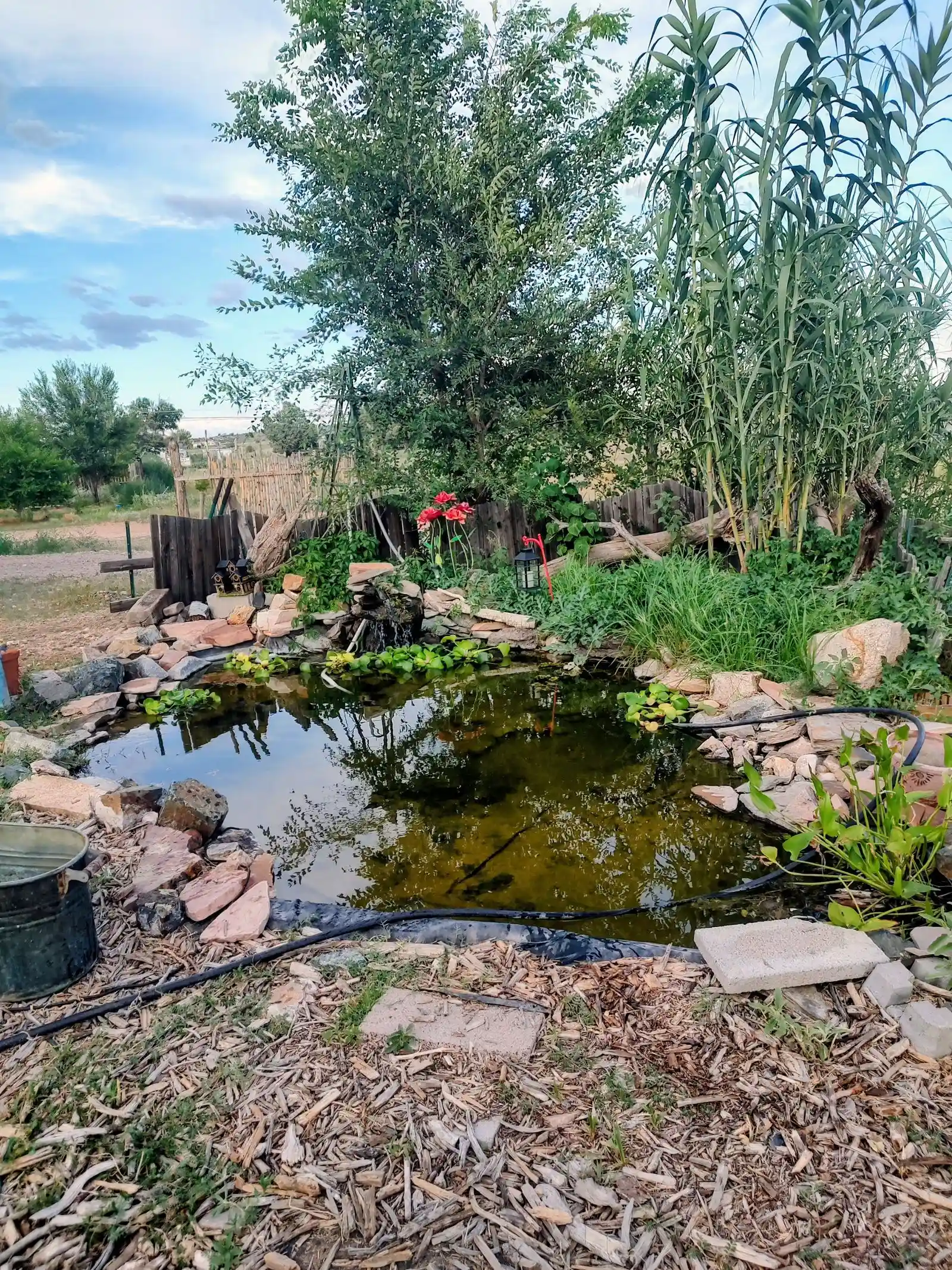 IMG_20260818_182801705_HDR~2 — 530 W Old Dog Ln, Paulden, AZ 86334