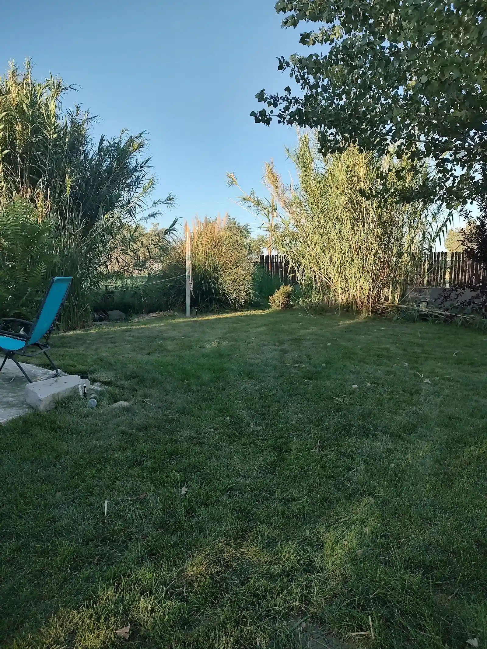 IMG_20260731_183930693_HDR — 530 W Old Dog Ln, Paulden, AZ 86334