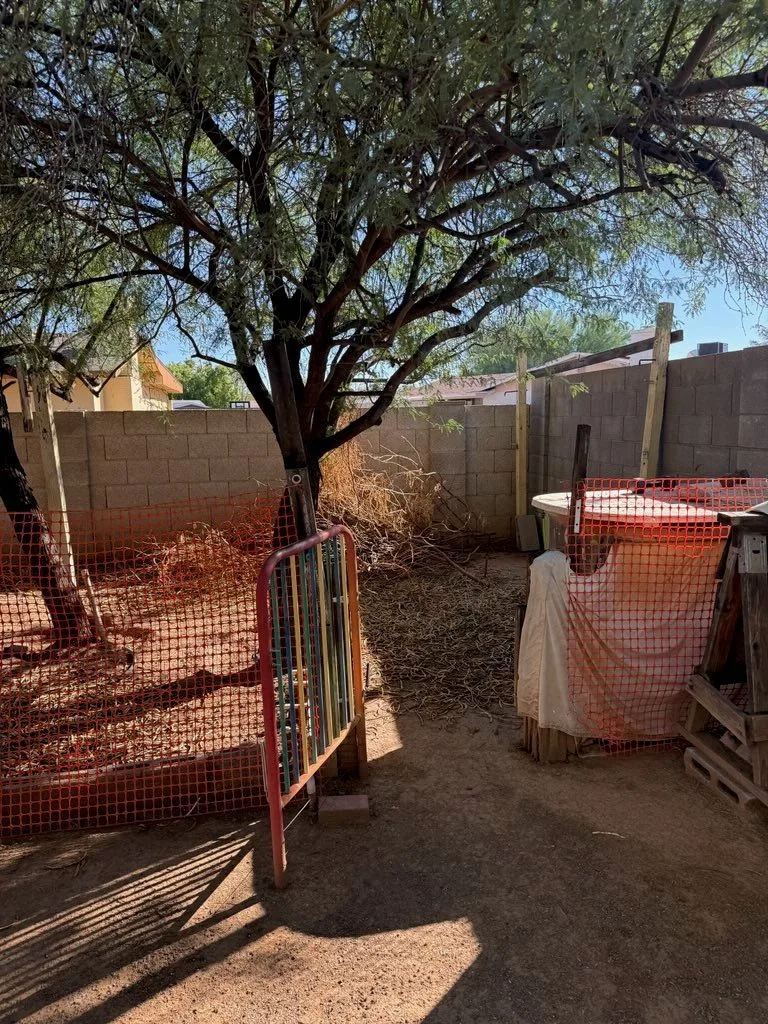 Photo Oct 01 2026, 3 24 47 PM — 1217 W Grovers Ave, Phoenix, AZ 85023