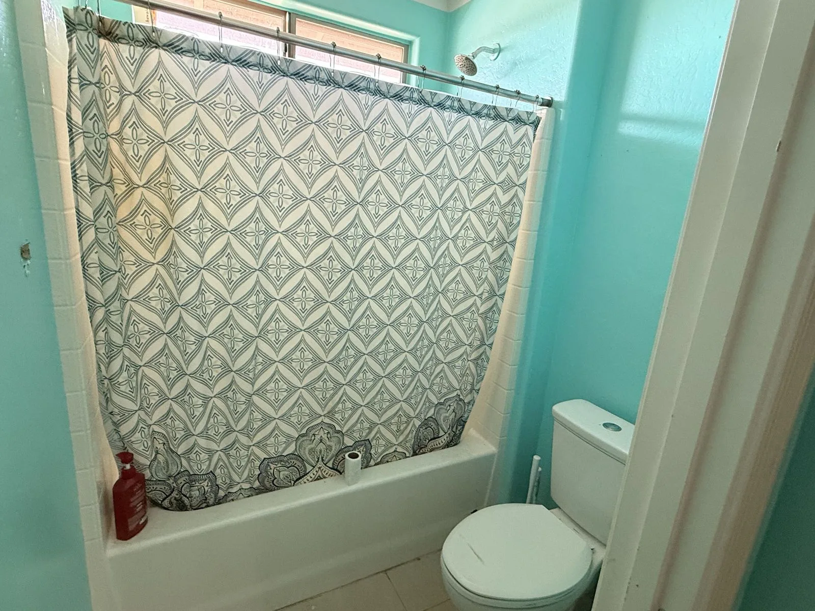 IMG_5449 — 30208 W Latham St, Buckeye, AZ 85396