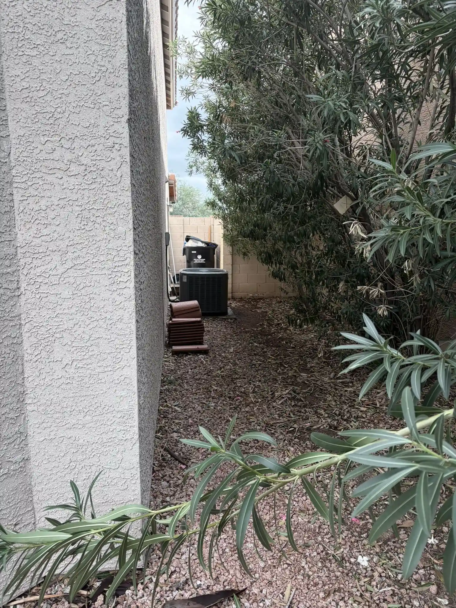 IMG_2322 — 16032 N 3rd Ave, Phoenix, AZ 85023