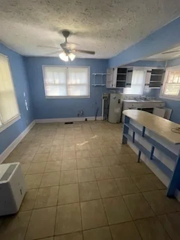 photo-08 — 8607 Buchanan Hwy, Dallas, GA 30157