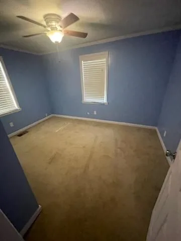 photo-02 — 8607 Buchanan Hwy, Dallas, GA 30157