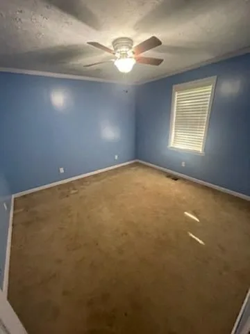 photo-06 — 8607 Buchanan Hwy, Dallas, GA 30157
