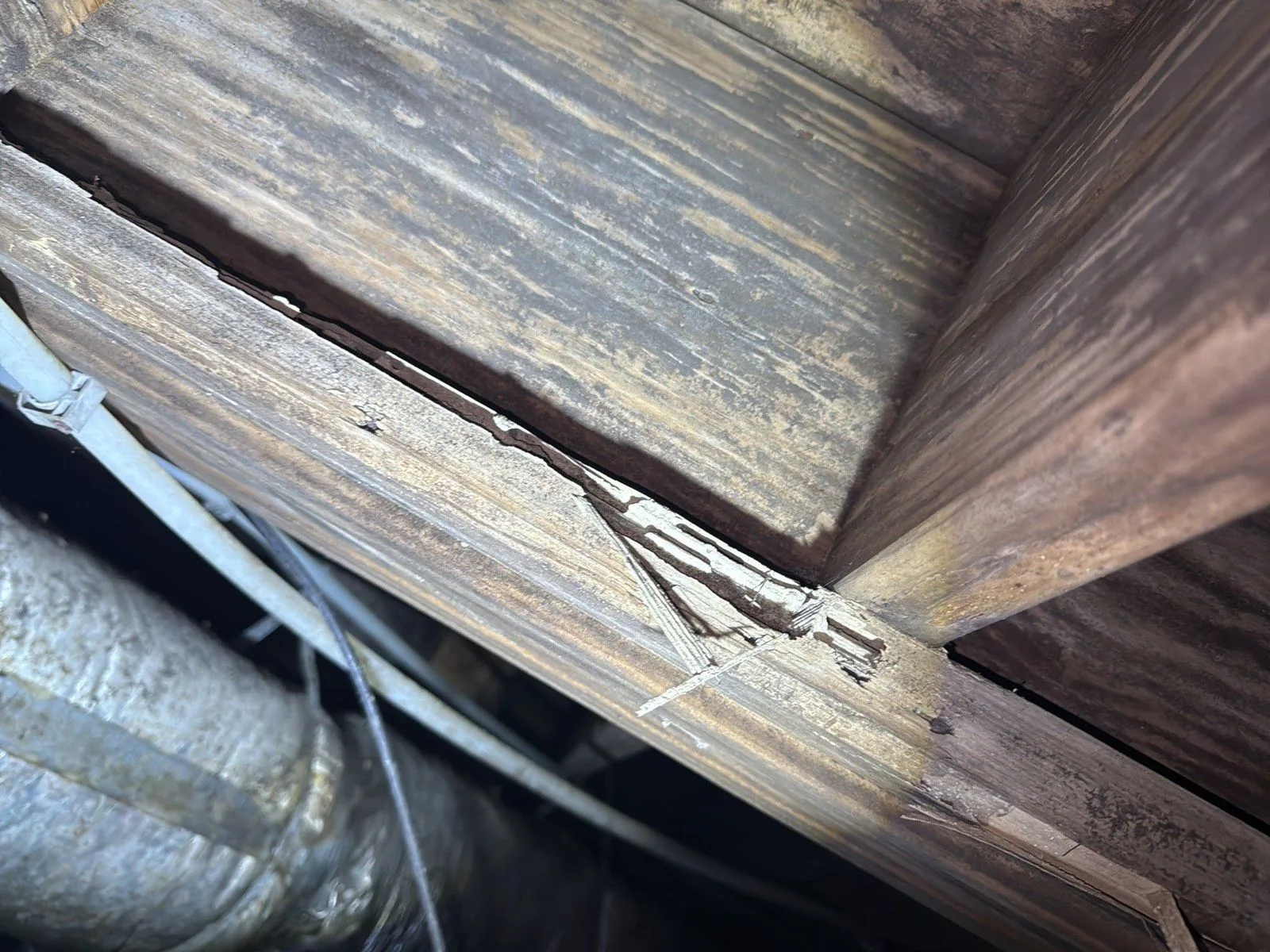 27 Joist damage — 15247 Cainsville Rd, Milton, TN 37118