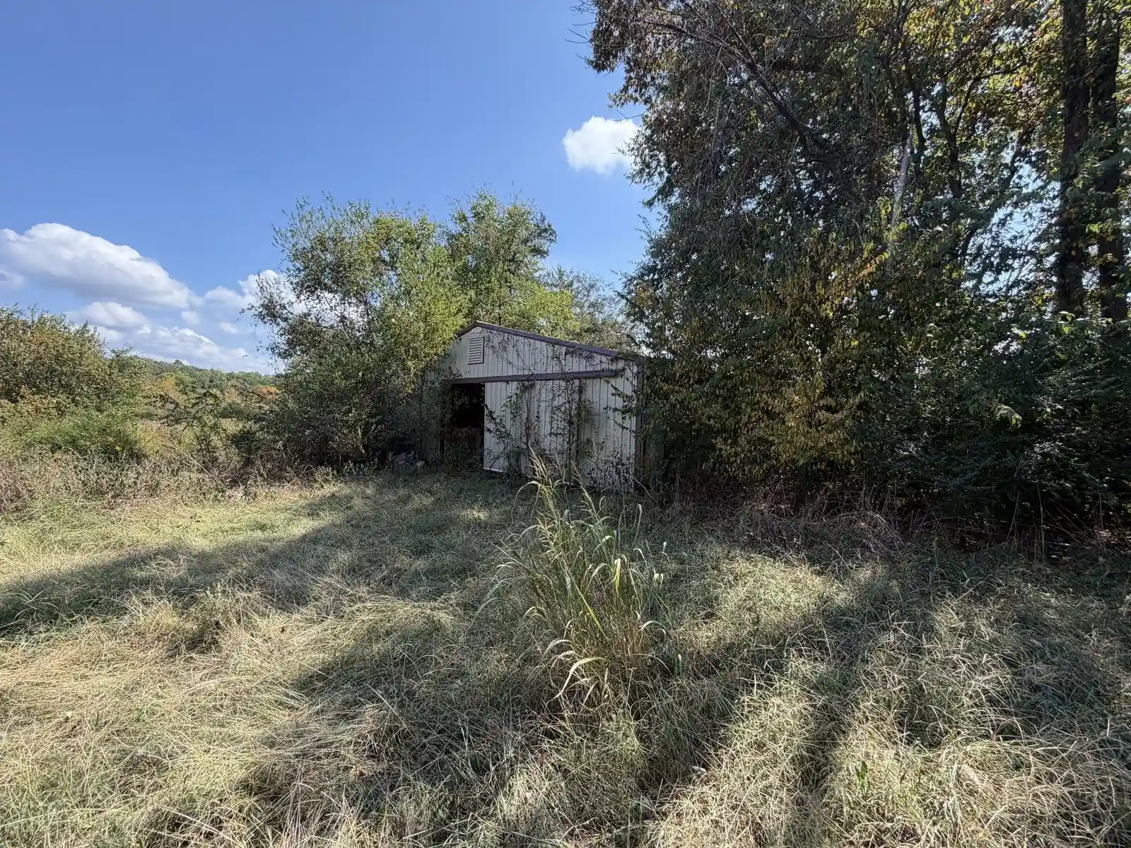 04 Outbuilding — 15247 Cainsville Rd, Milton, TN 37118