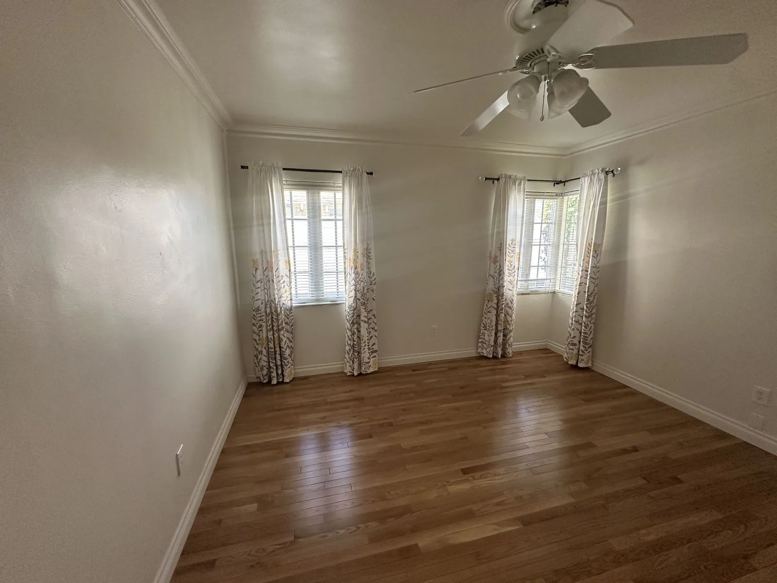 1526 W Wilshire Drive - IMG_6921 — 1526 W Wilshire Dr, Phoenix, AZ 85007