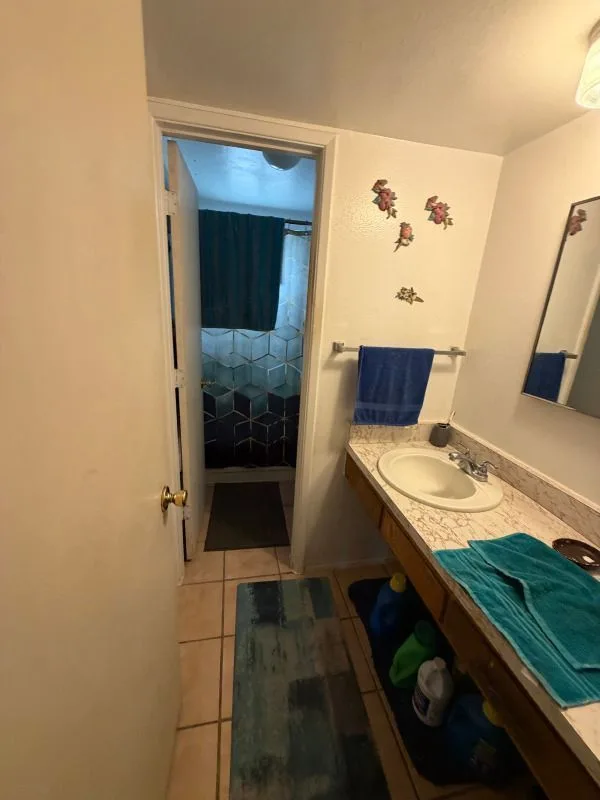 127-e-lee-st-tucson-az-85705-6 — 127 E Lee St, Tucson, AZ 85705