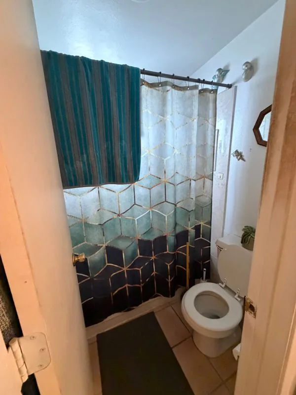 127-e-lee-st-tucson-az-85705-8 — 127 E Lee St, Tucson, AZ 85705
