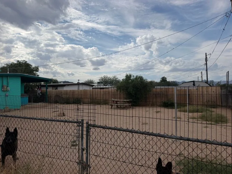 127-e-lee-st-tucson-az-85705-15 — 127 E Lee St, Tucson, AZ 85705