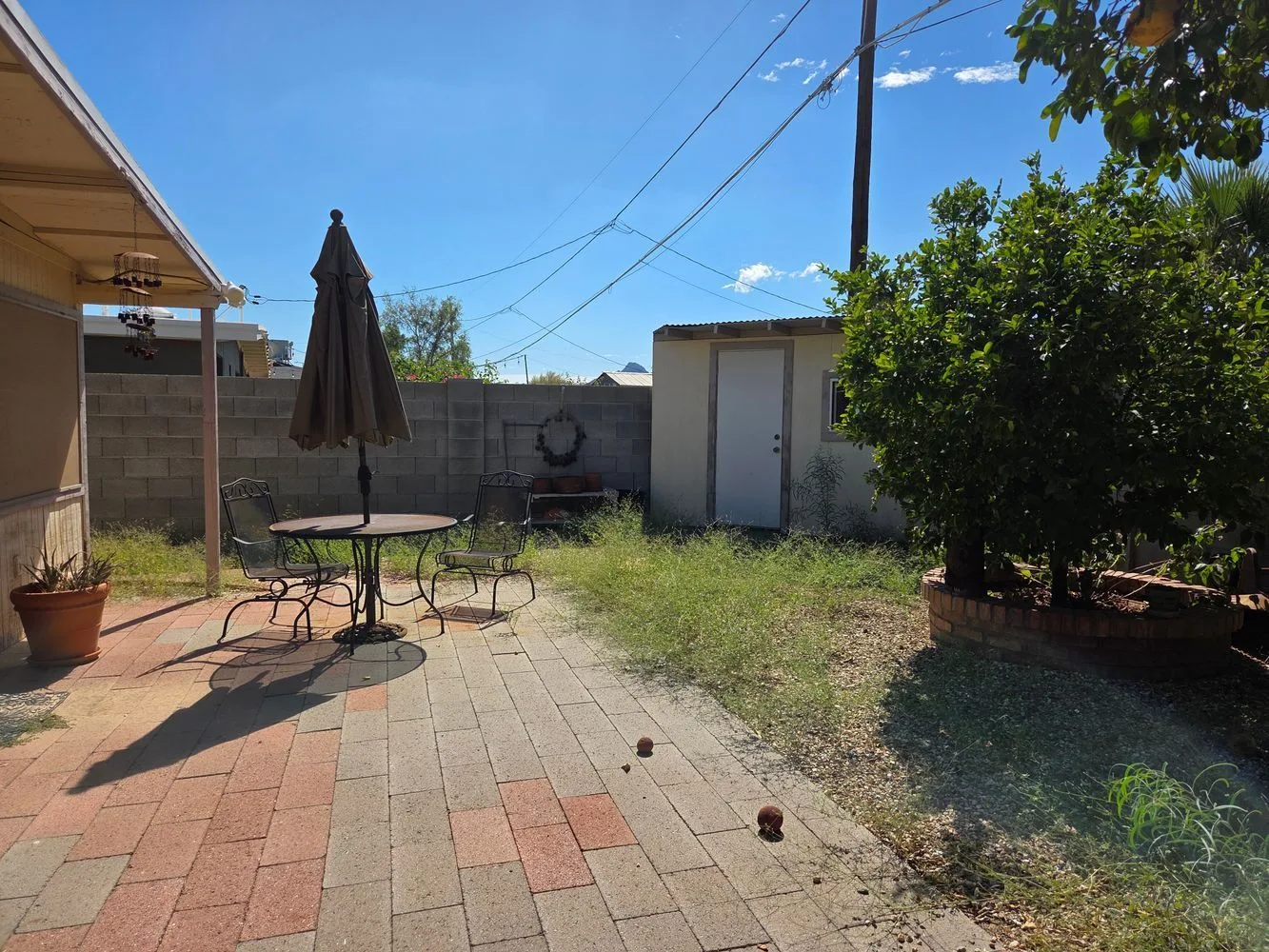 Backyard-2-Copy — 12014 N 36th Pl, Phoenix, AZ 85028