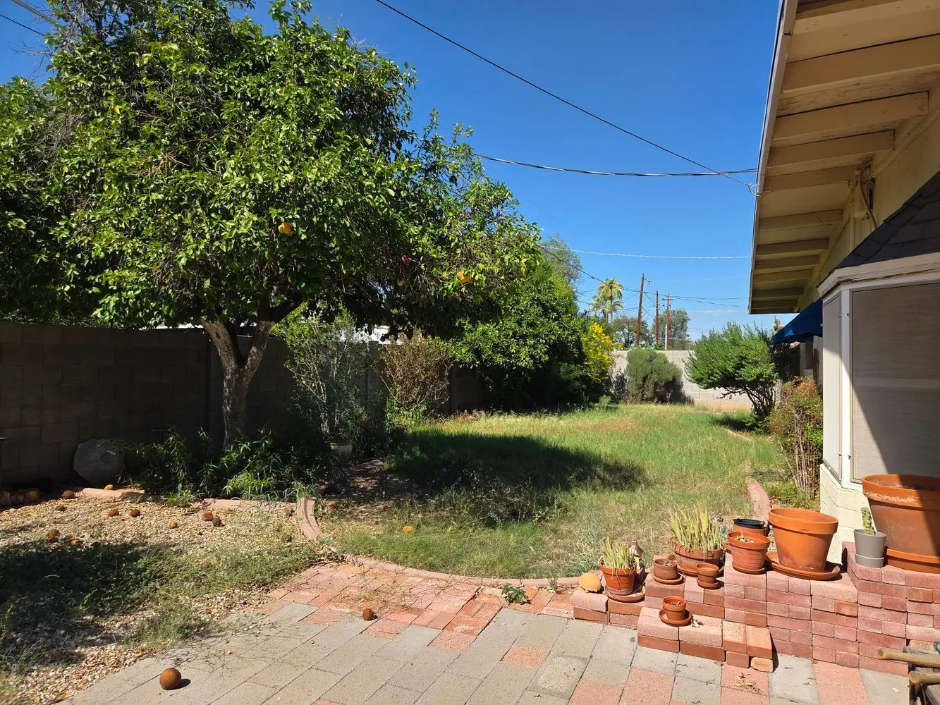 Backyard — 12014 N 36th Pl, Phoenix, AZ 85028