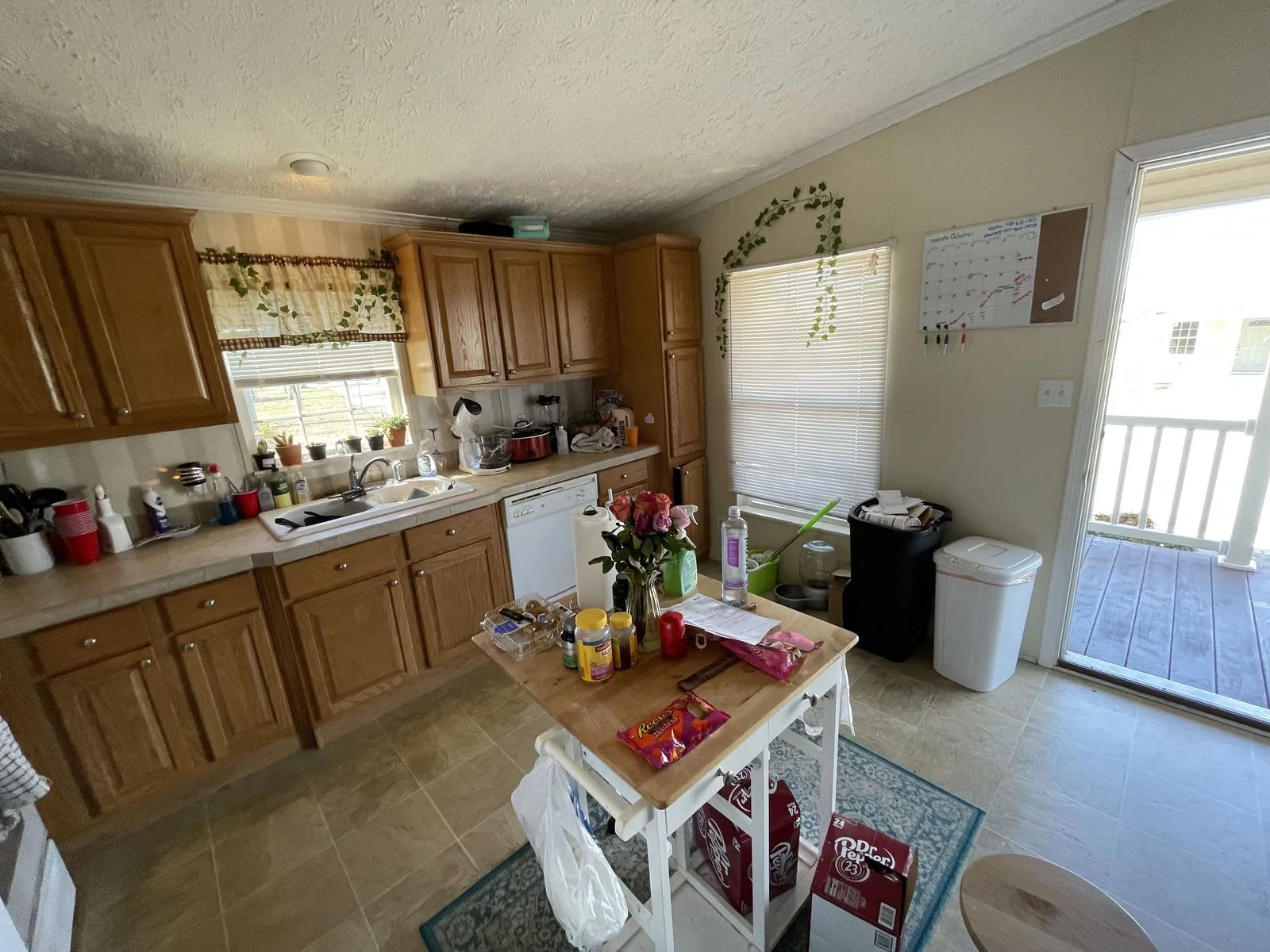 IMG_4514 — 1312 Tranbarger Dr, Kingsport, TN 37660