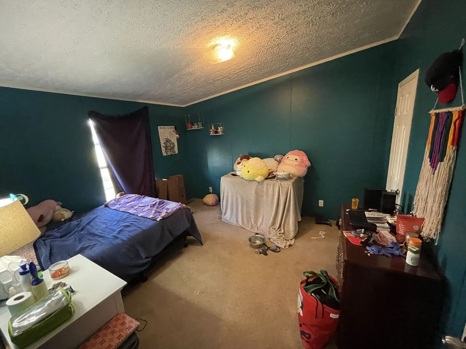 IMG_4526 — 1312 Tranbarger Dr, Kingsport, TN 37660