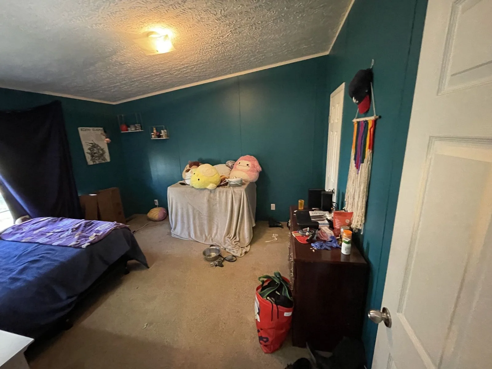IMG_4527 — 1312 Tranbarger Dr, Kingsport, TN 37660