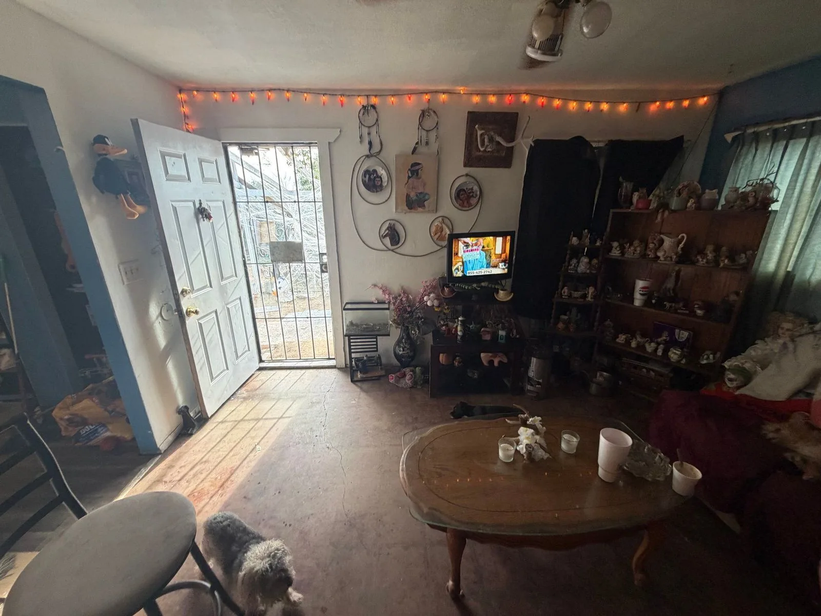 21742-w-harding-ave-wittmann-az-85361-5 — 21742 W Harding Ave, Wittmann, AZ 85361