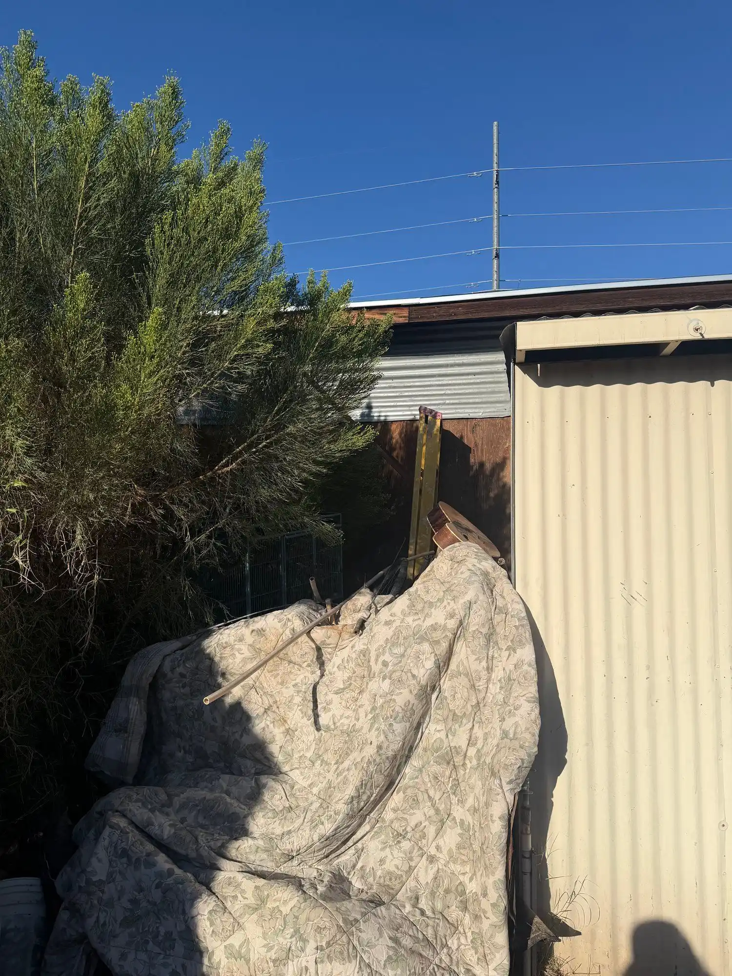 21742-w-harding-ave-wittmann-az-85361-13 — 21742 W Harding Ave, Wittmann, AZ 85361