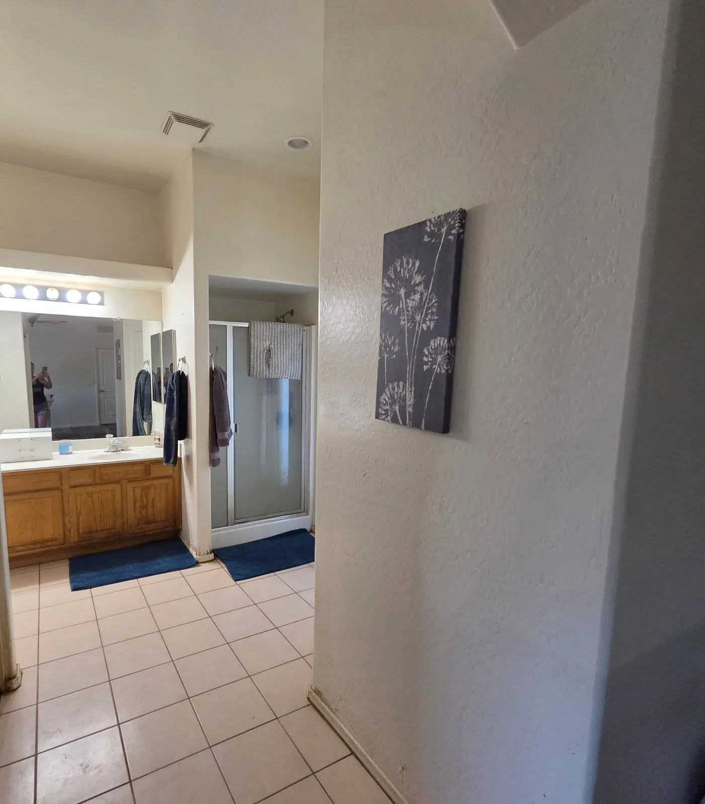 ME463bdd6fd24dbe047d6cd7267219e646.jpeg — 24410 W Quails Nest Ln, Wittmann, AZ 85361