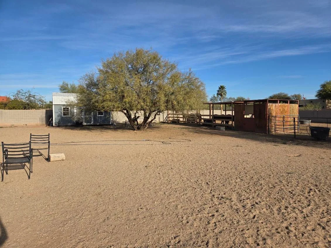 ME5ff8c5806a05eb8fd81b31a332e25b14.jpeg — 24410 W Quails Nest Ln, Wittmann, AZ 85361