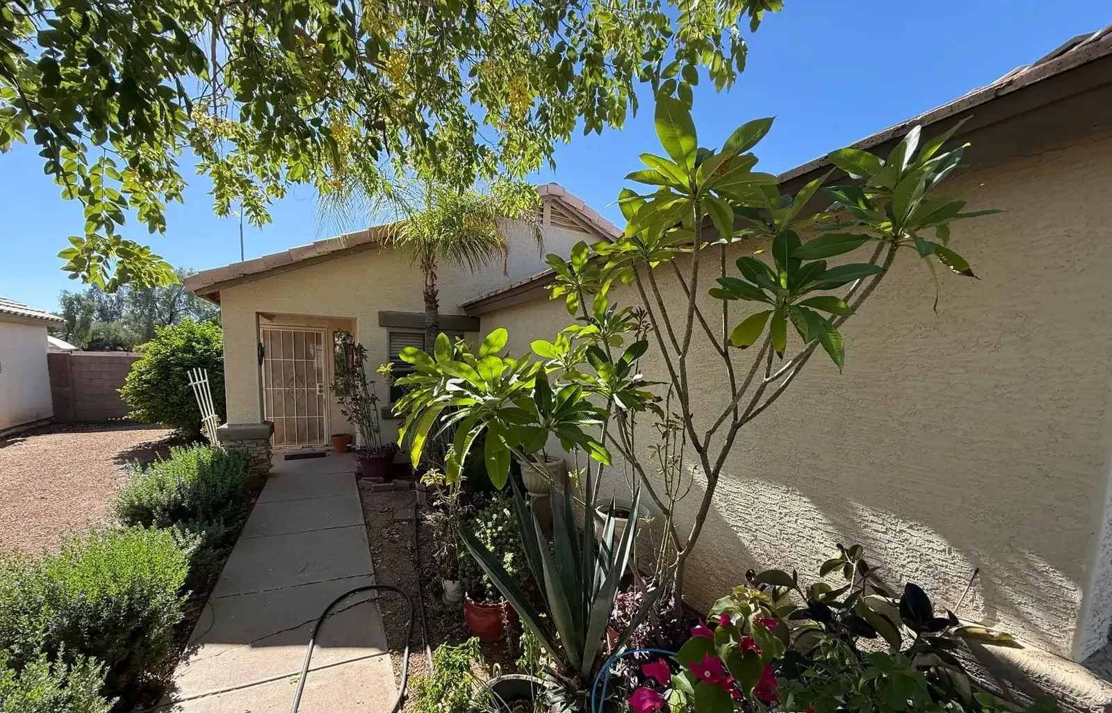 photo-22 — 16550 N 158th Ave, Surprise, AZ 85374