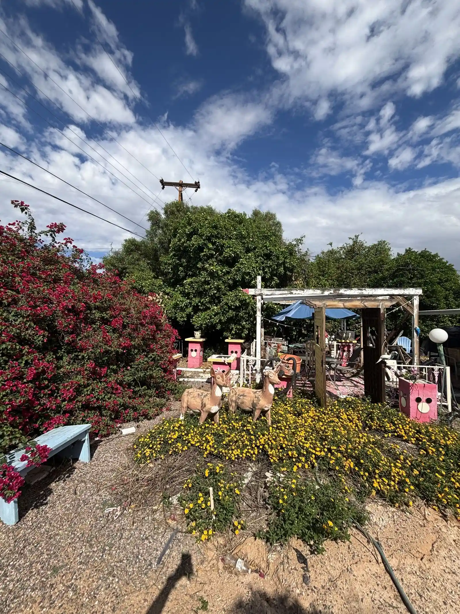 IMG_3617 — 5332 E Baltimore St, Mesa, AZ 85205