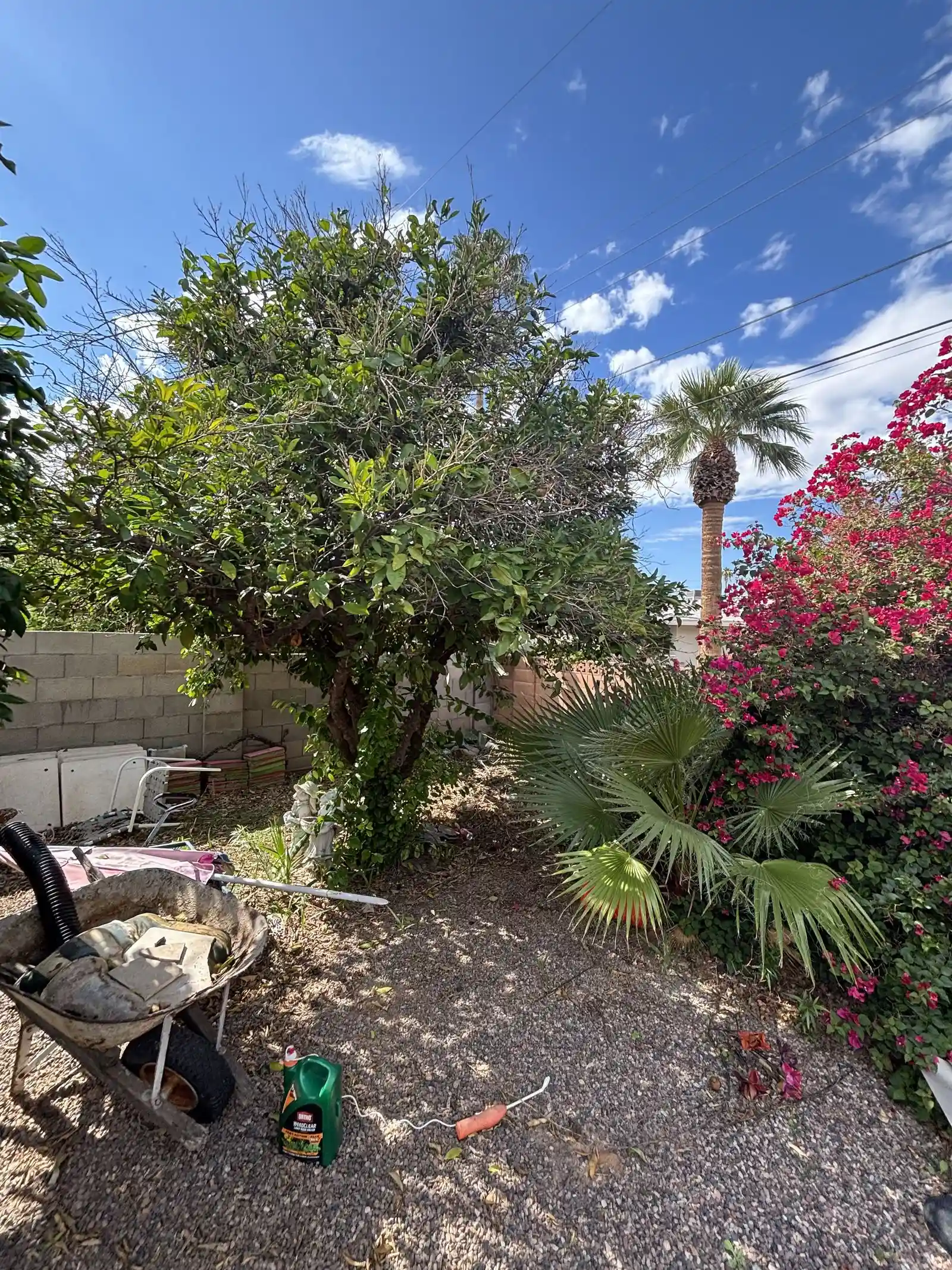 IMG_3615 — 5332 E Baltimore St, Mesa, AZ 85205