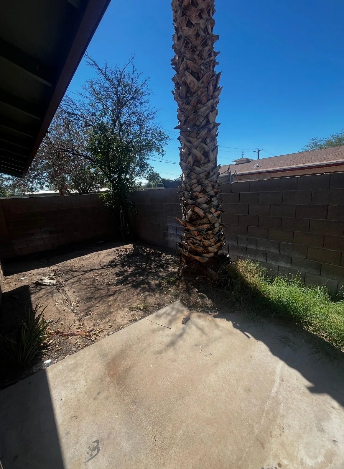 Photo-Oct-26-2026-4-26-58-PM — 1101 1113 W Erie St, Chandler, AZ 85224