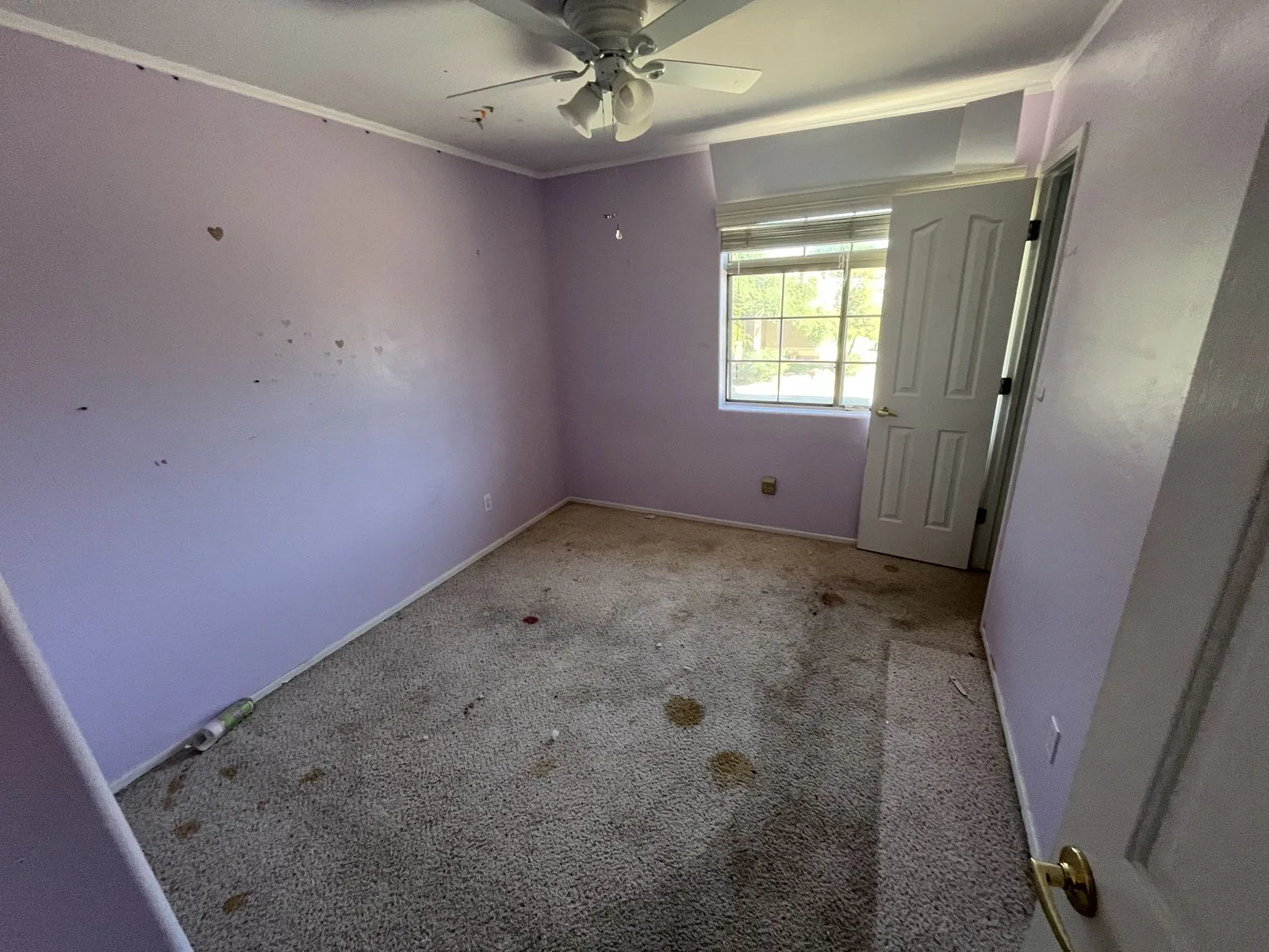 IMG_6925 — 24208 N 61st Dr, Glendale, AZ 85310
