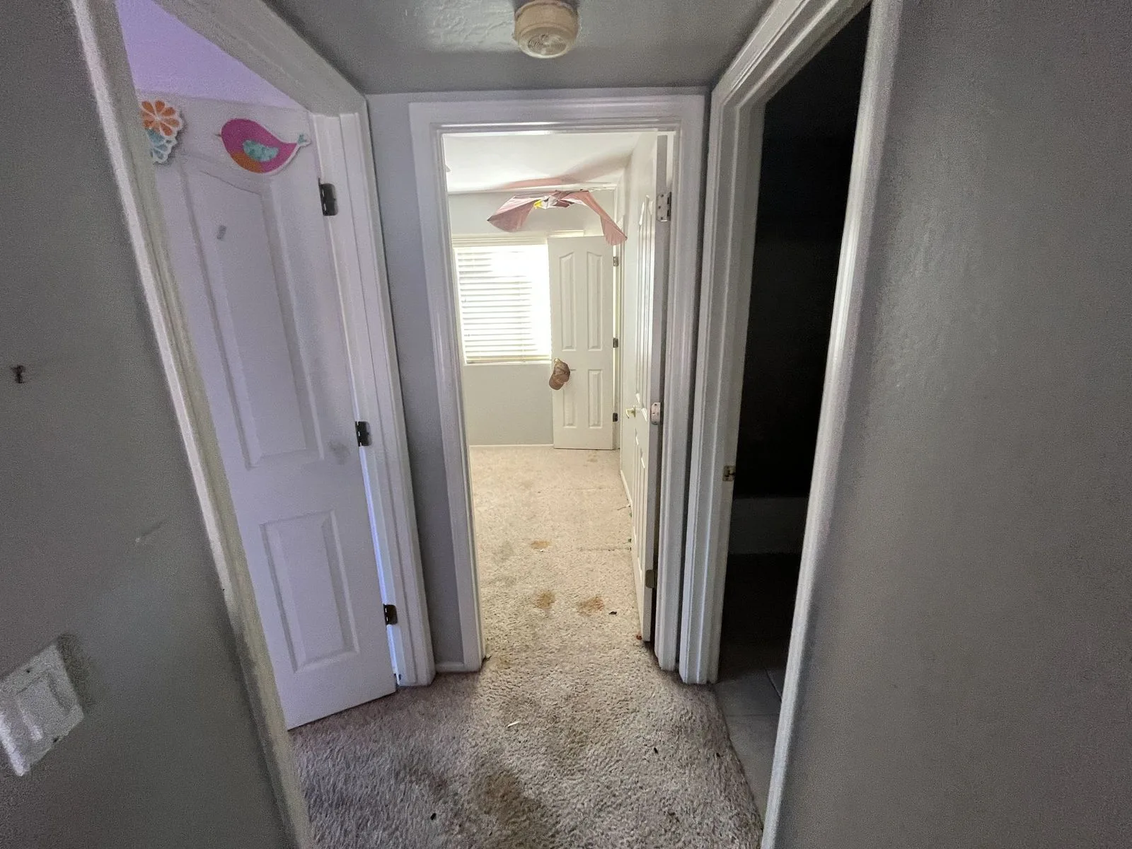 IMG_6924 — 24208 N 61st Dr, Glendale, AZ 85310