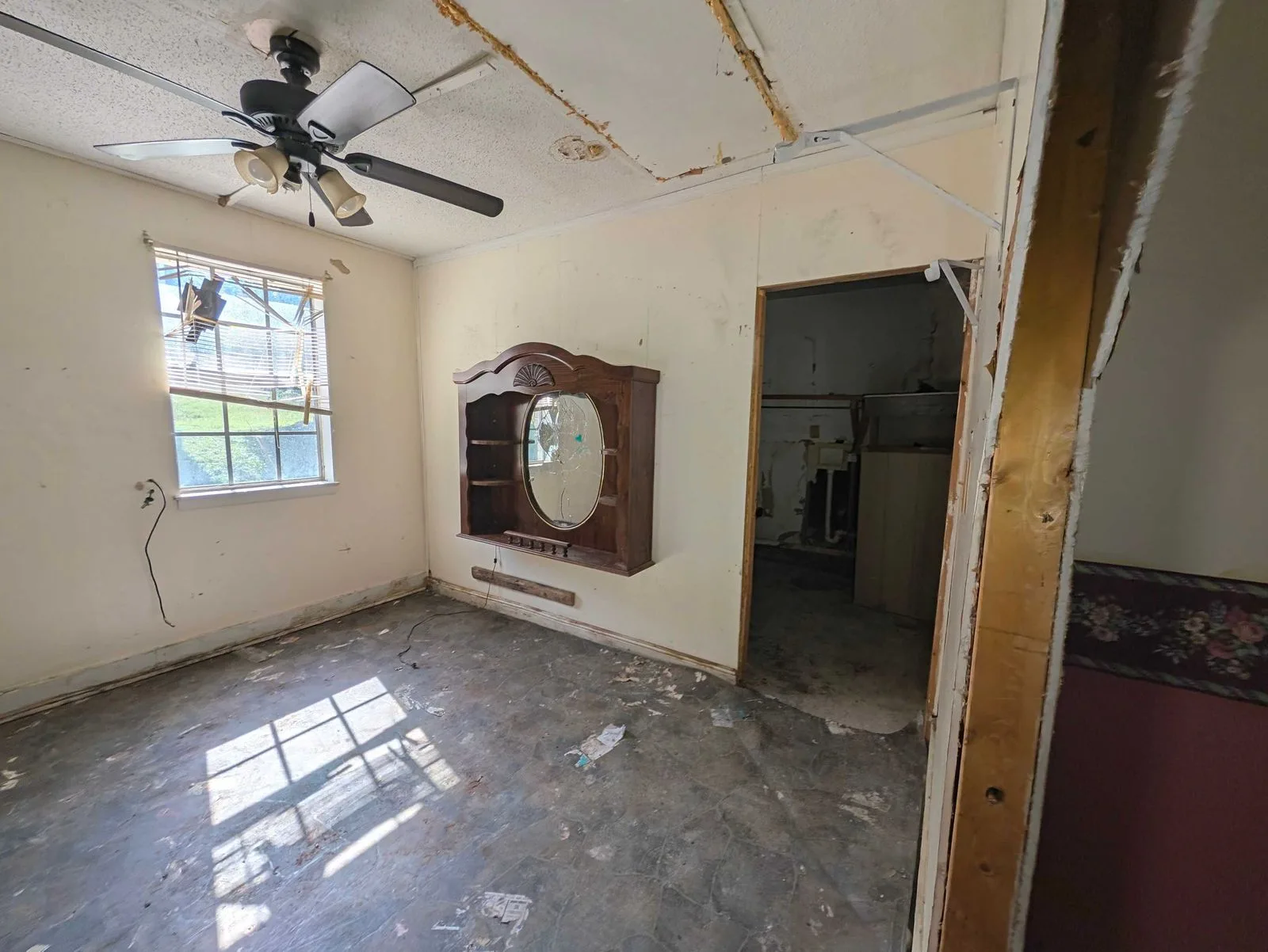 thumbnail1790603129465PXL_20260917_151748563 — 186 Mountain View Cir, Jasper, TN 37347