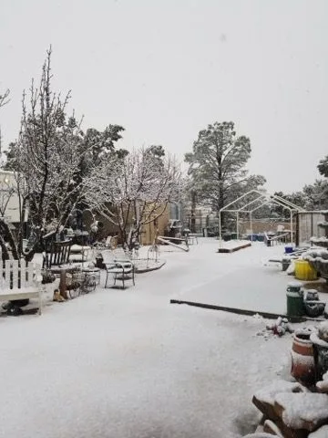 ME8a234a8fc5349eda7560212e9dd508b6 — 9847 Cupples Trl, Snowflake, AZ 85937