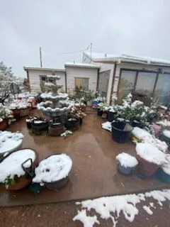 MEa17a404891d2f4ea2fcb1cb2ed2f84f5 — 9847 Cupples Trl, Snowflake, AZ 85937