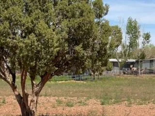 MEf3e0938c183da5d4f6d4cb145f052867 — 9847 Cupples Trl, Snowflake, AZ 85937