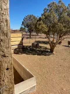 ME07f0af2e36a36082fadc1cc16cfdf140 — 9847 Cupples Trl, Snowflake, AZ 85937