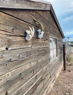 ME3b7f183098a4e117cd2a37feaebd0199 — 9847 Cupples Trl, Snowflake, AZ 85937