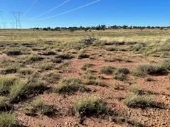 ME56d7663be66f4b8d561c4d6cd6b85b8c — 9847 Cupples Trl, Snowflake, AZ 85937